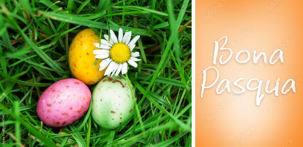 Bona Pasqua